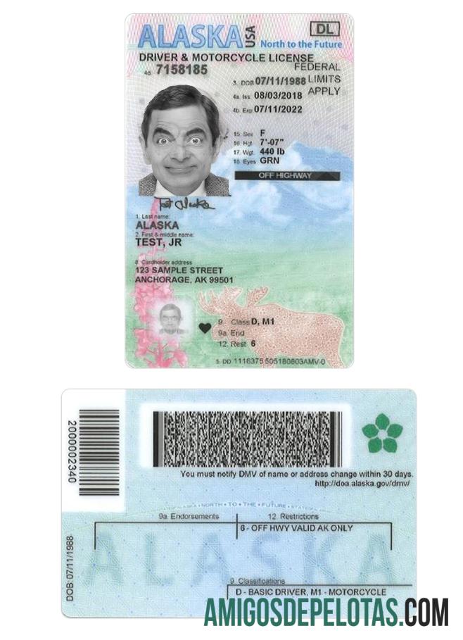 Carta de condução para menores de 21 anos nos EUA e Alasca modelo